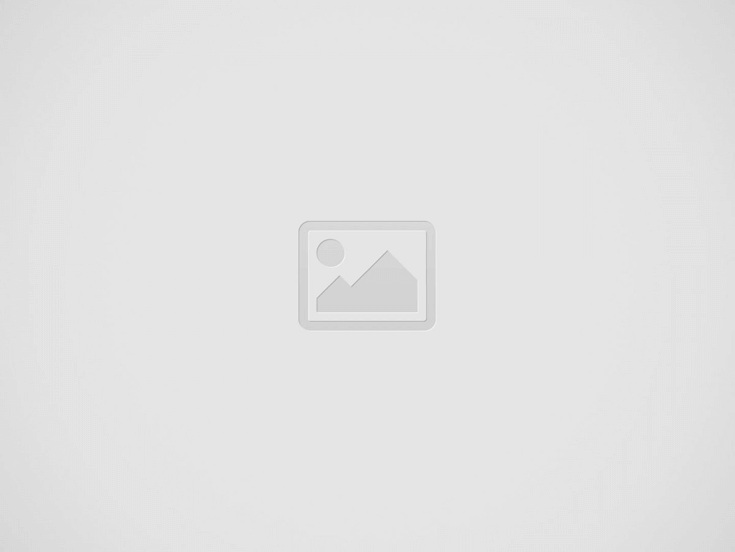 AQMFE-Cv1-2D-ds-42888