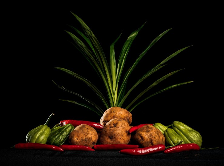 Chayote, la verdura "salvavita" (pexels.com) - c4comic.it