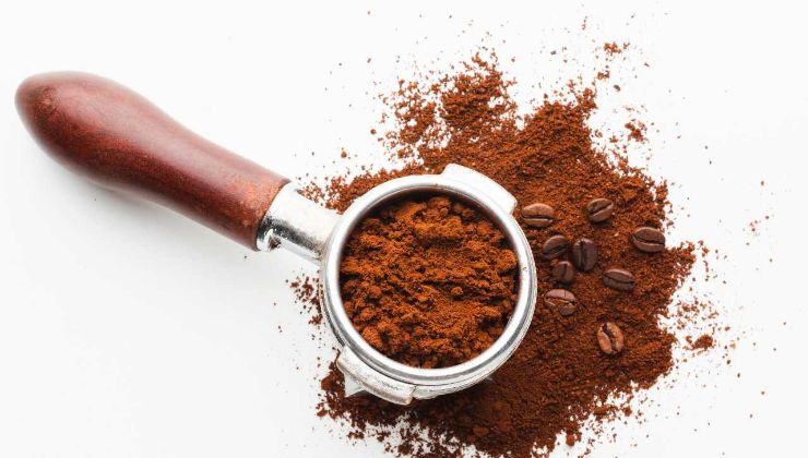 Fondi del caffè, non buttarli ma conservali in un contenitore