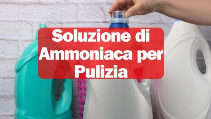 Pulire la casa con l'ammoniaca è l'ideale