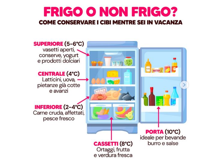cosa conservare in frigo - instagram - c4comic.it