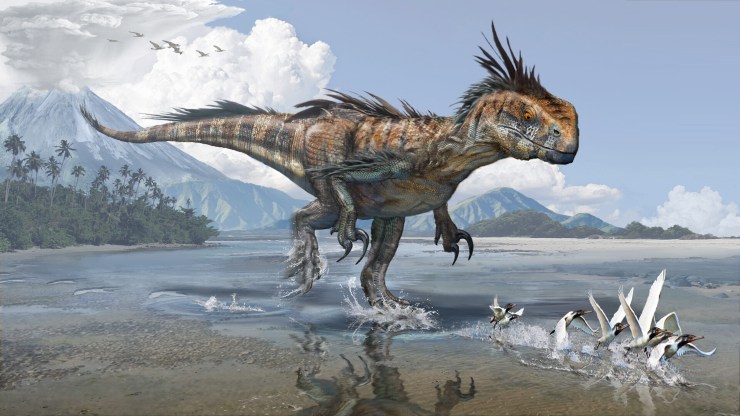 È stato scoperto un megaraptor