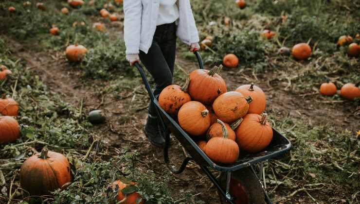 Anche in Italia puoi vivere un Halloween come quello americano