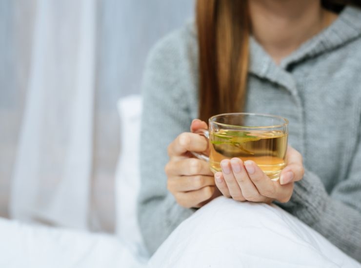 Ingrediente tisana contro influenza