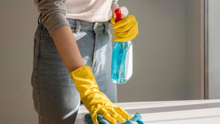 Due ingredienti da pochi centesimi te ne fanno risparmiare 1200€ in un anno 