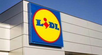 È l’ultima volta che tagliamo così il prezzo: LIDL si batte da sola e da 79.99 lo porta a 39.99 € | È il forno che ti cambia la vita