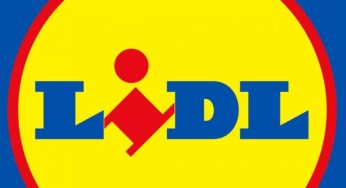 Baguette della Lidl, mangiarla è davvero un piacere ma ecco come la fanno davvero: il costo ora è giustificato