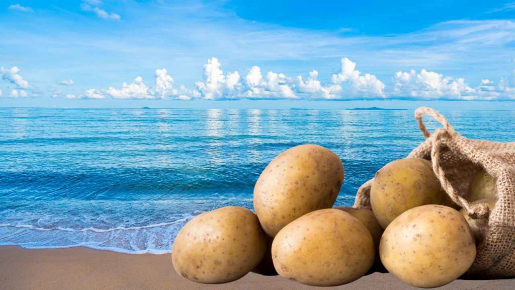 Due patate dopo il mare: me le ha consigliate il dermatologo di fiducia