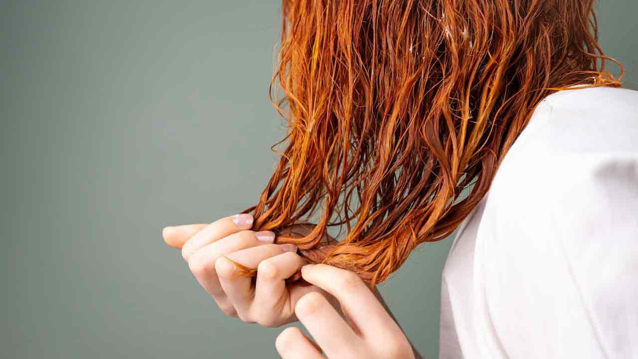 Shampoo-Foto-di-Beyzanur-K-da-Pexels-C4Comic