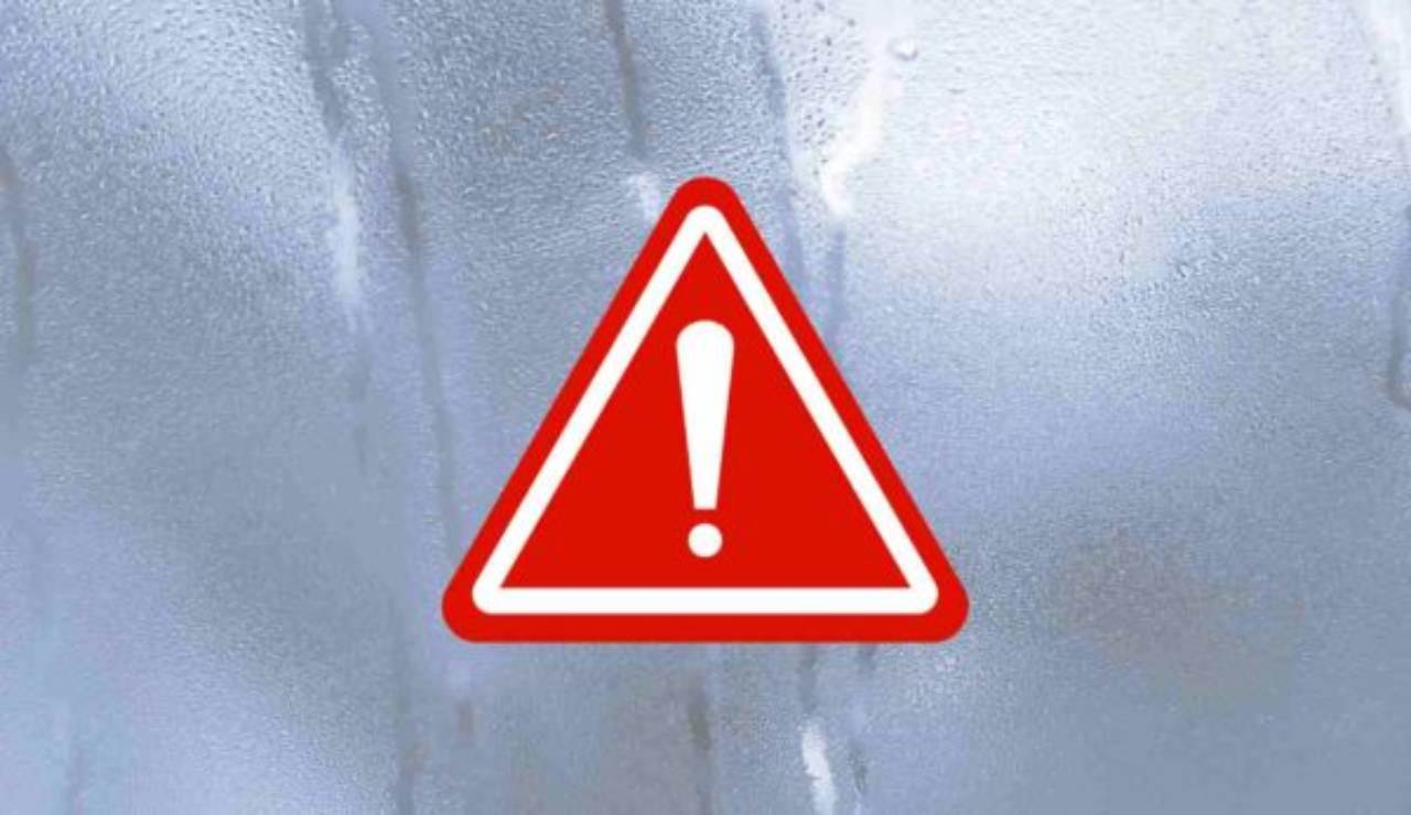 Condensa in auto, umidità KO | Il trucco dei sacchetti funziona davvero: ma solo se li posizioni qui